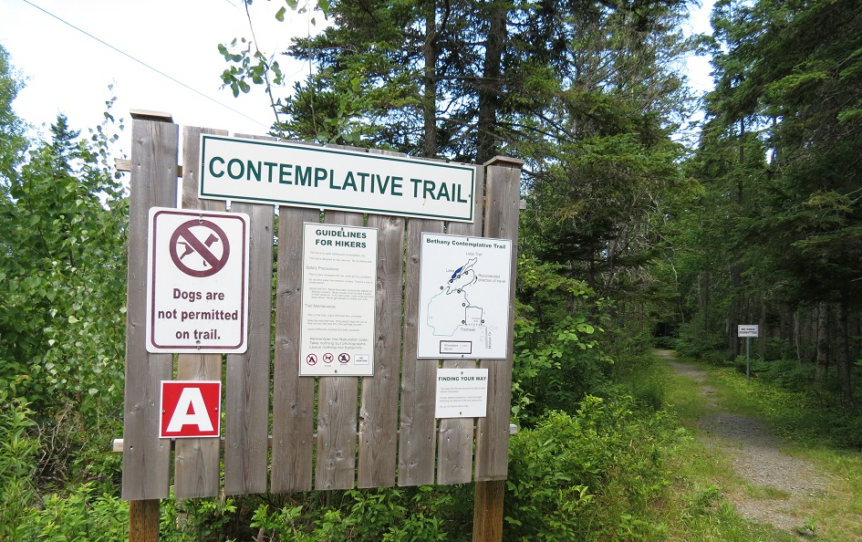 complative trail png.png